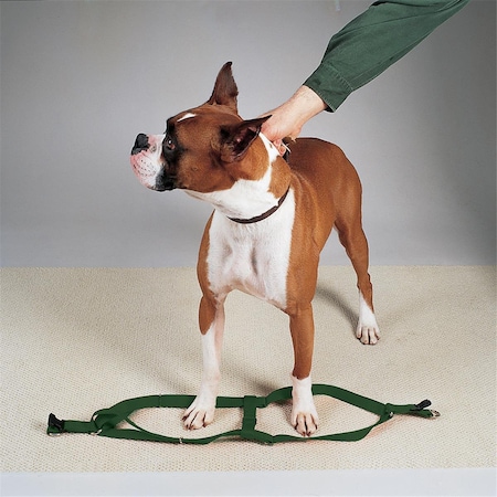 Casual Canine 9-15 in. Nylon 2 Step Dog HarnessGreen ZA817 09 45